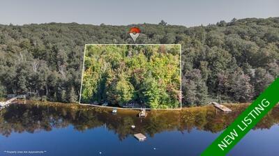 Bay Lake Cottage For Sale - under $800k