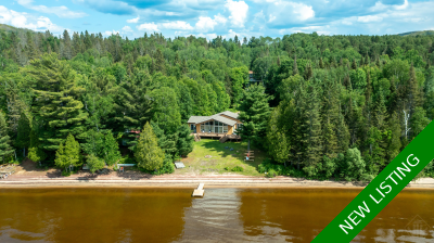 Sand Lake cottage / home for sale - under $900,000