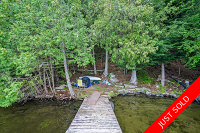 Bay Lake Cottage for sale - under $500,000