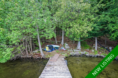Bay Lake Cottage for sale - under $500,000
